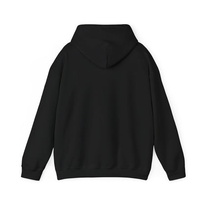 St. Edward's Athletics Adult Hoodie