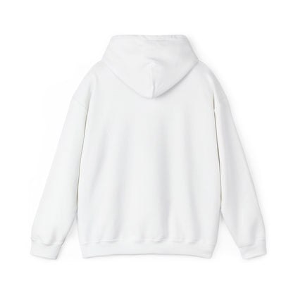St. Ed's Chicago Flag Hoody