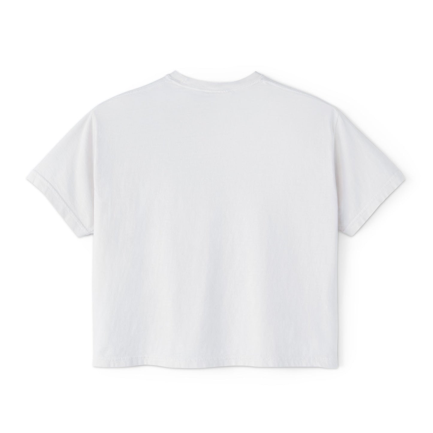 St. Ed's Chicago Flag Womens Boxy T-Shirt